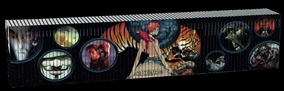Colección Vertigo - ¡Las mejores historias del legendario sello de DC Comics!
